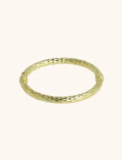 Classic Armband Bangle Behandeld