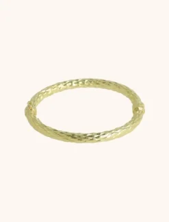 Classic Armband Bangle Ruit Behandeld