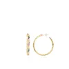 Classic Oorbellen Creool Regenboog L