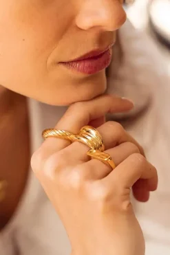 Ring Twist
