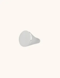 Zilveren Ring Seal Plane